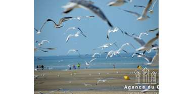 Photo agence Agence du Cap