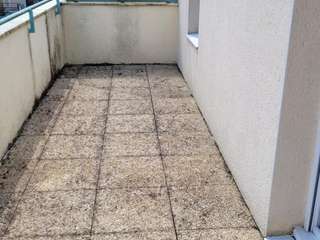 Location appartement 1 pièce