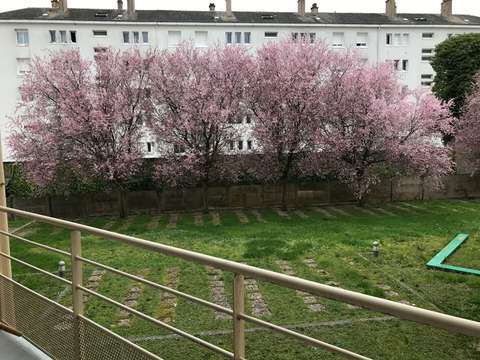 Location appartement 3 pièces Angers 49