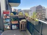 Location appartement 3 pièces