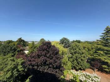 Location appartement 4 pièces