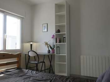 Location appartement 1 pièce Location appartement 1 pièce
