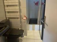 Location appartement 1 pièce Location appartement 1 pièce