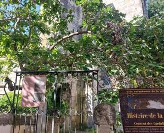 Location Appartement T1Avignon