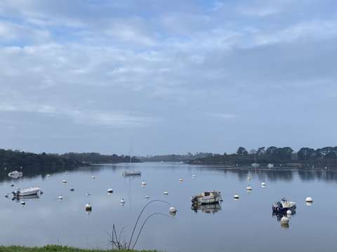 Location Studio 1 pièce