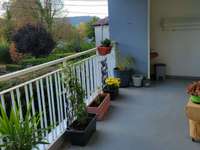 Location appartement 5 pièces Location appartement 5 pièces