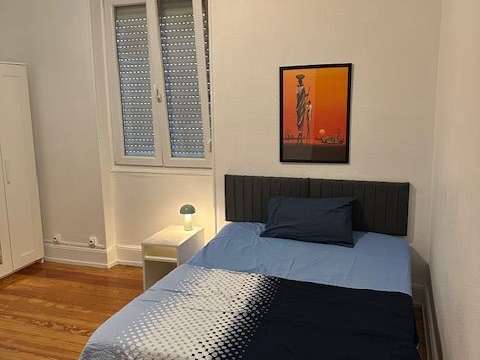 Location appartement 1 pièce Bischheim 67