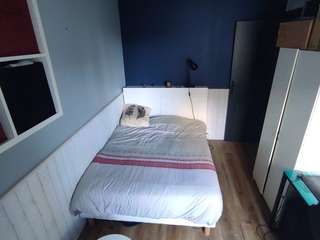 Location appartement 1 pièce Location appartement 1 pièce