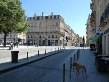 Location appartement 2 pièces Bordeaux 33