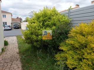 Location Studio 1 pièce