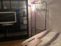 Location appartement 1 pièce Location appartement 1 pièce