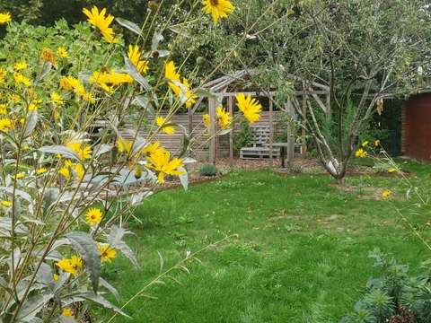 Location appartement 1 pièce Bréal-sous-Montfort 35