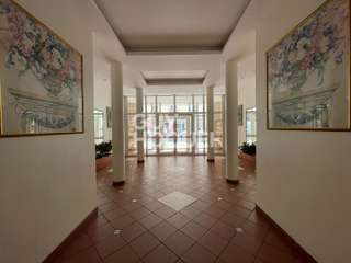 Location Studio 1 pièce