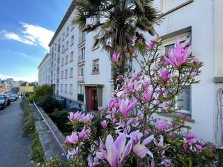 Location appartement 4 pièces