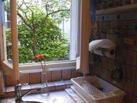 Location Studio 1 pièce