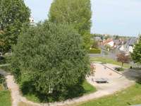 Location appartement 5 pièces
