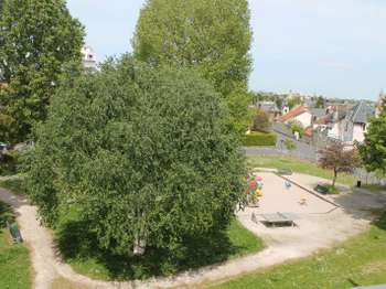 Location appartement 5 pièces