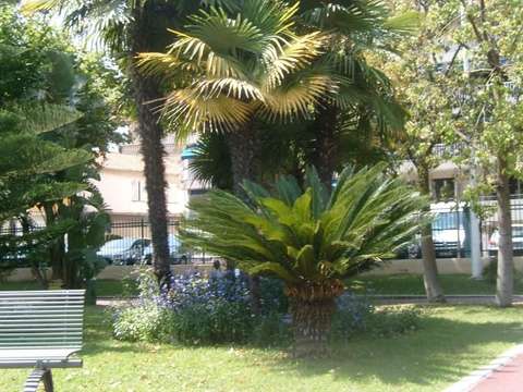 Location appartement 1 pièce Cannes 06