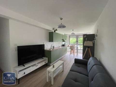 Location appartement 1 pièce Changé 53