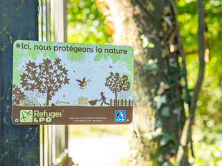 Location Studio 1 pièce