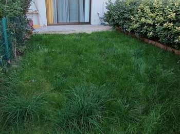 Location appartement 2 pièces Châtillon 92