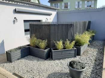 Location Appartement T1Colmar