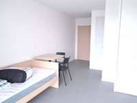 Location Studio 1 pièce Location Studio 1 pièce