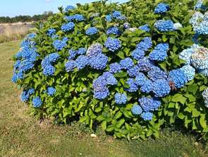 Location Appartement 2 piècesConcarneau