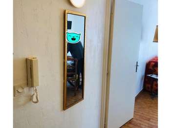 Location appartement 1 pièce