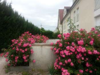 Location Appartement T1Dijon