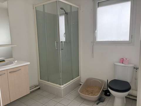 Location Studio 1 pièce Location Studio 1 pièce