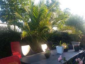Location ChambreDomloup