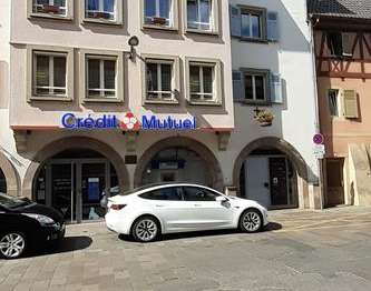 Location appartement 2 pièces Ensisheim 68