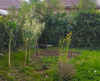 Location appartement 2 pièces Fontaine 38