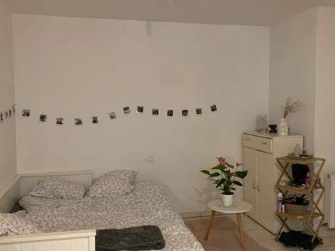 Location appartement 1 pièce