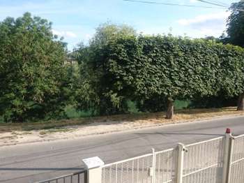 Location appartement 4 pièces