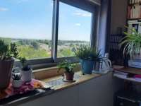 Location Studio 1 pièce