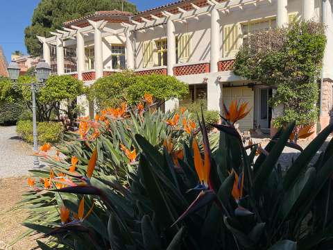 Location appartement 3 pièces Hyères 83