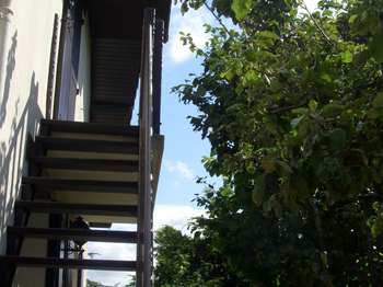 Location Chambre 1 pièce