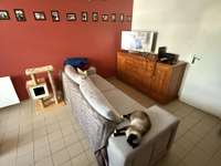 Location appartement 3 pièces Location appartement 3 pièces