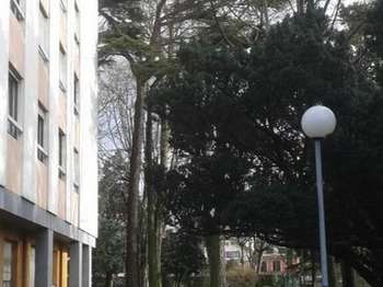 Location appartement 1 pièce L'Haÿ-les-Roses 94