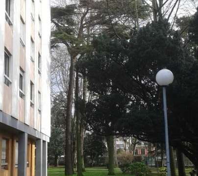 Location appartement 1 pièce L'Haÿ-les-Roses 94