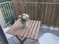 Location appartement 1 pièce Location appartement 1 pièce