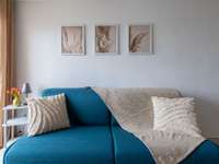 Location appartement 1 pièce