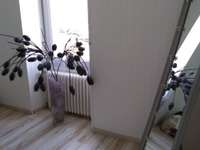 Location appartement 5 pièces