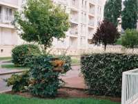 Location appartement 4 pièces