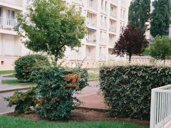 Location appartement 4 pièces