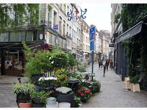 Location appartement 2 pièces Lille 59