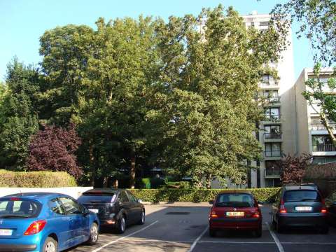 Location appartement 1 pièce Lille 59