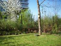 Location appartement 4 pièces Location appartement 4 pièces